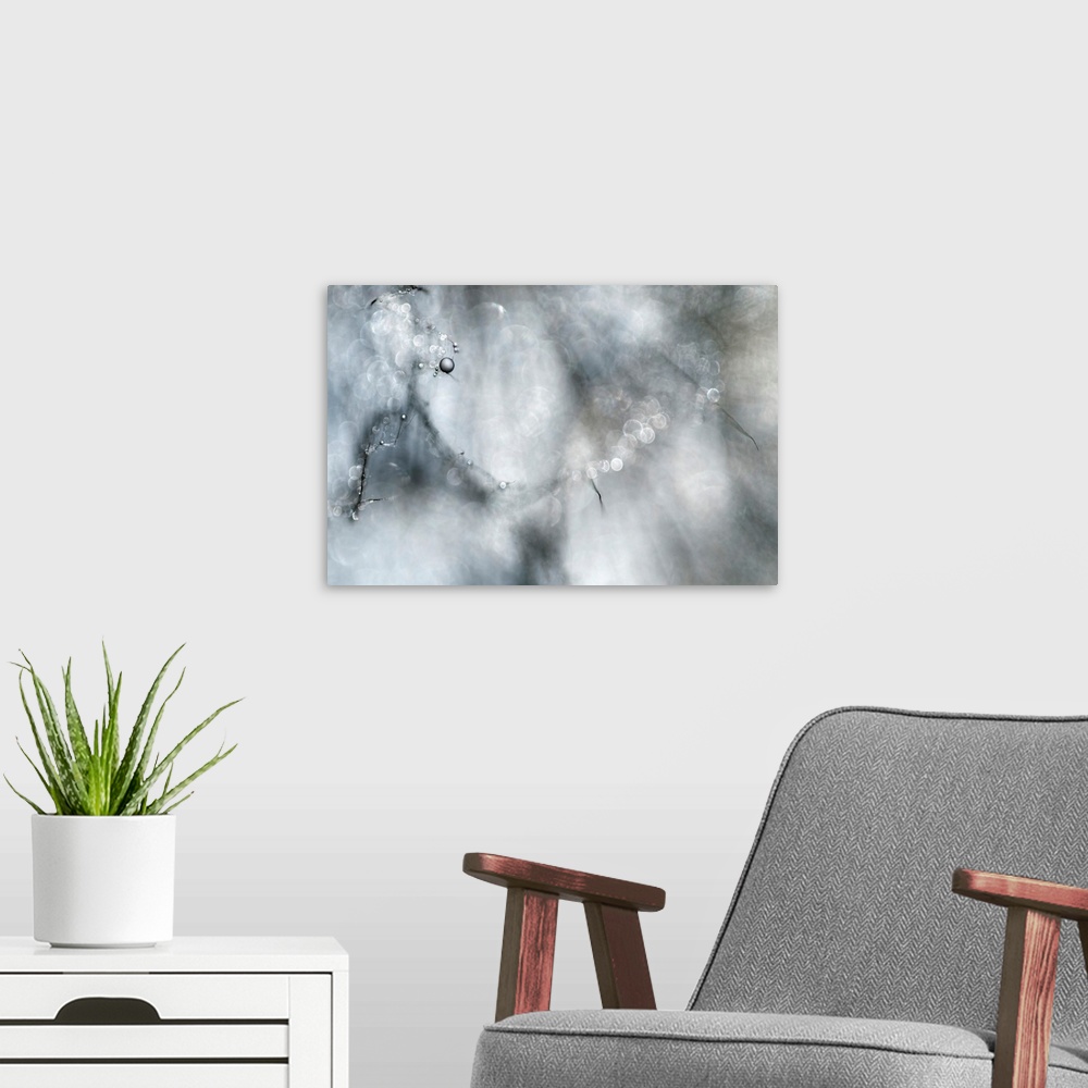 A modern room featuring Abstract artwork of a branch that contains several water droplets while the rest of the tree is b...