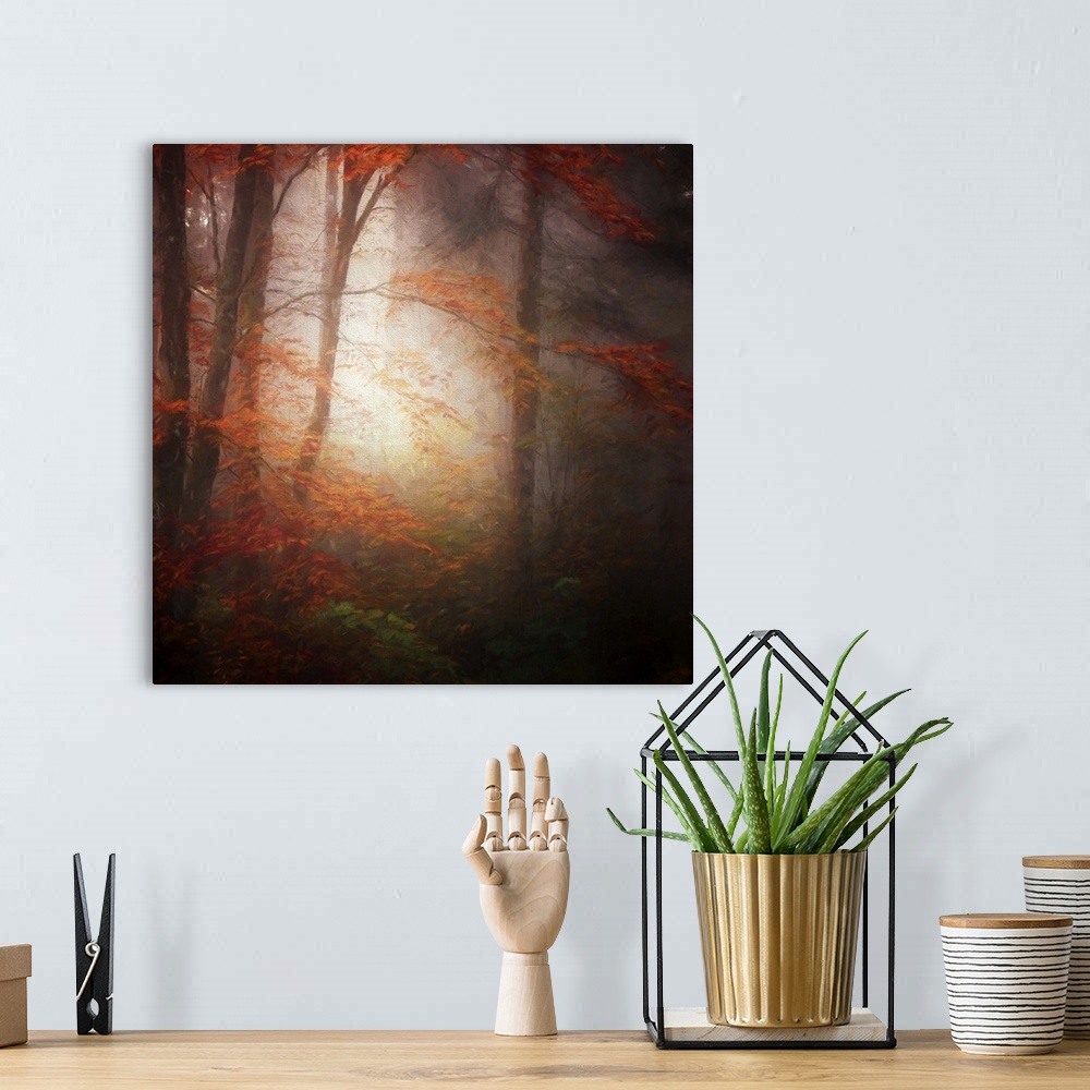 A bohemian room featuring Sunlight shining in a misty autumn forest creating an eerie glow.