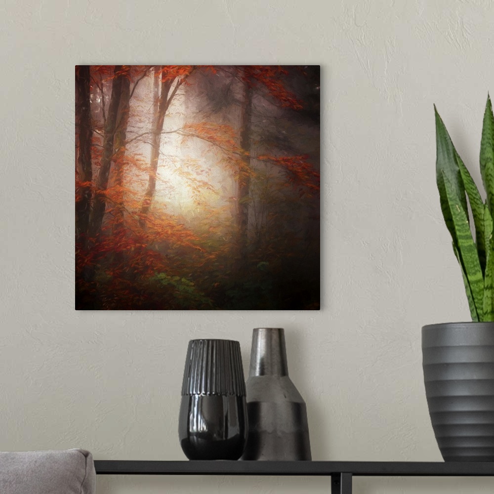 A modern room featuring Sunlight shining in a misty autumn forest creating an eerie glow.
