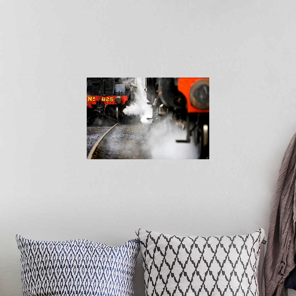 A bohemian room featuring This wall art piece depicts the front of two trains, one up close and one further back, both with...