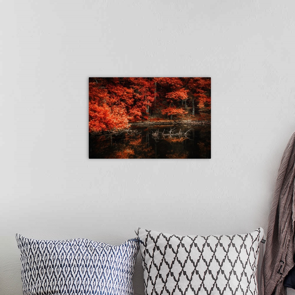 A bohemian room featuring Forest of trees in fall colors reflected in a lake.