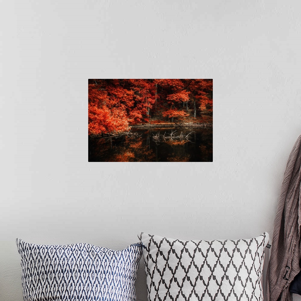 A bohemian room featuring Forest of trees in fall colors reflected in a lake.