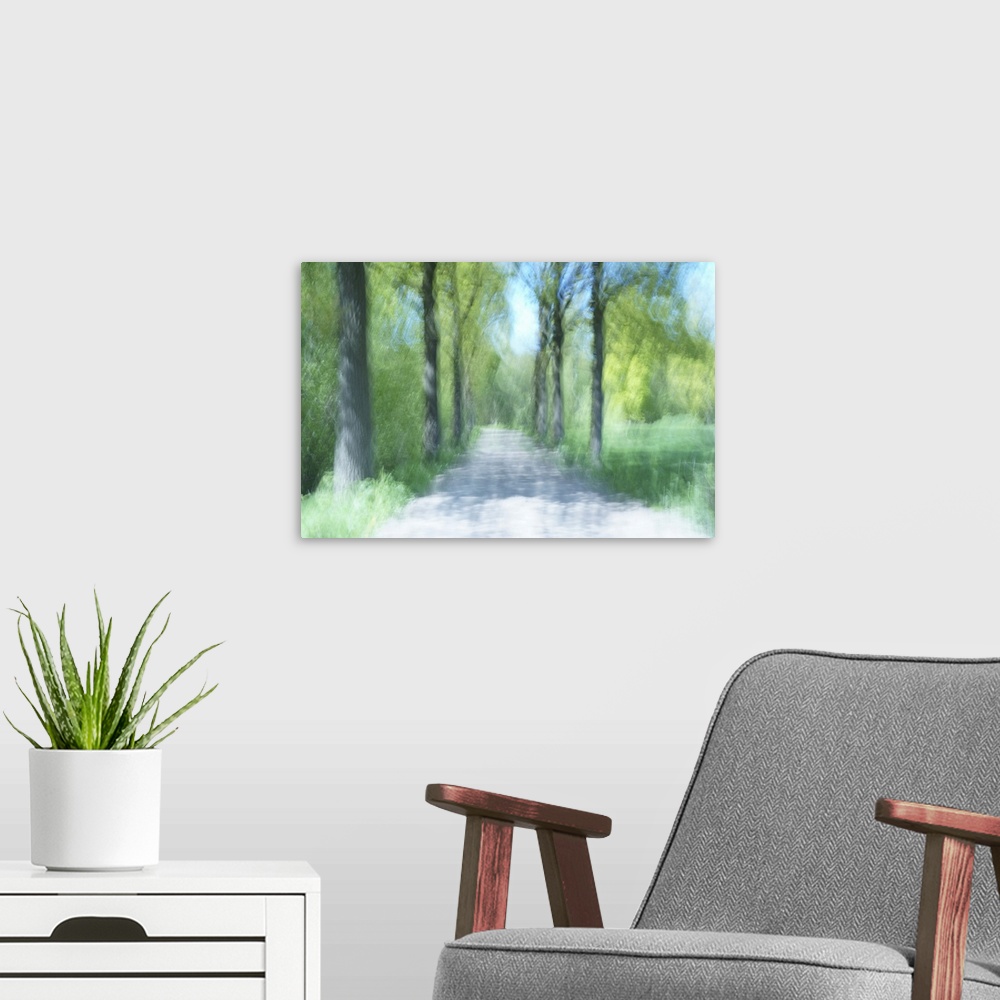 A modern room featuring A stroll in the shadow of the trees on a hot summer day.