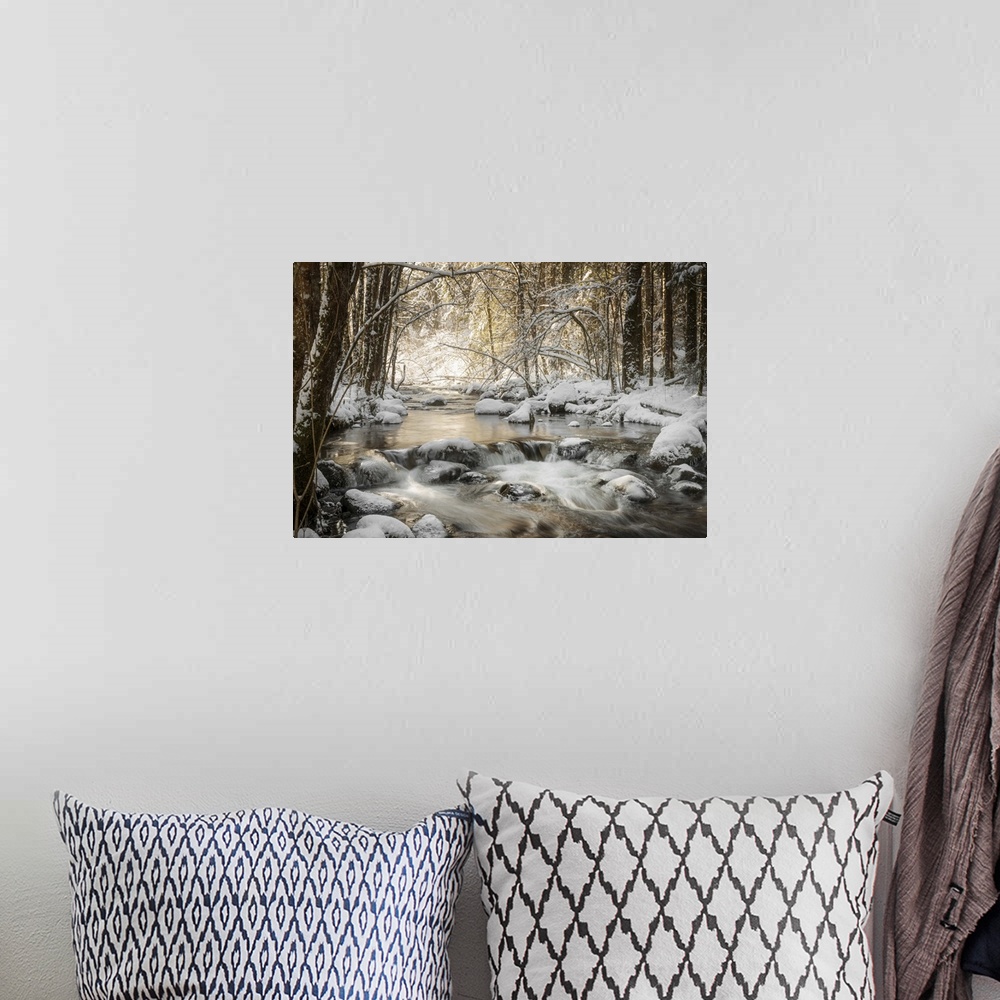 A bohemian room featuring Photograph of a flowing river in the middle of the woods surrounded by snow covered rocks and trees.