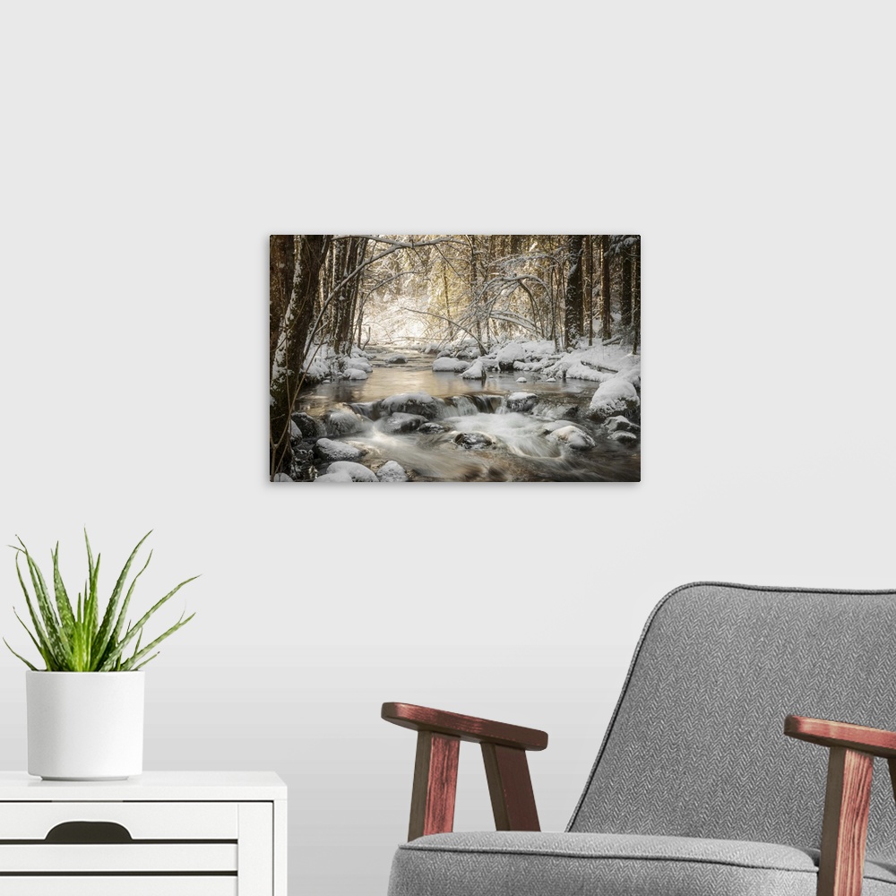 A modern room featuring Photograph of a flowing river in the middle of the woods surrounded by snow covered rocks and trees.
