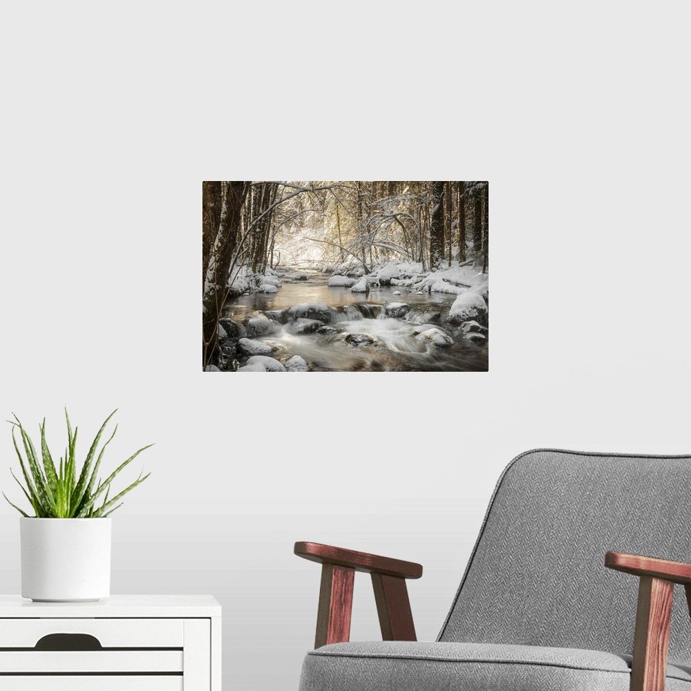 A modern room featuring Photograph of a flowing river in the middle of the woods surrounded by snow covered rocks and trees.
