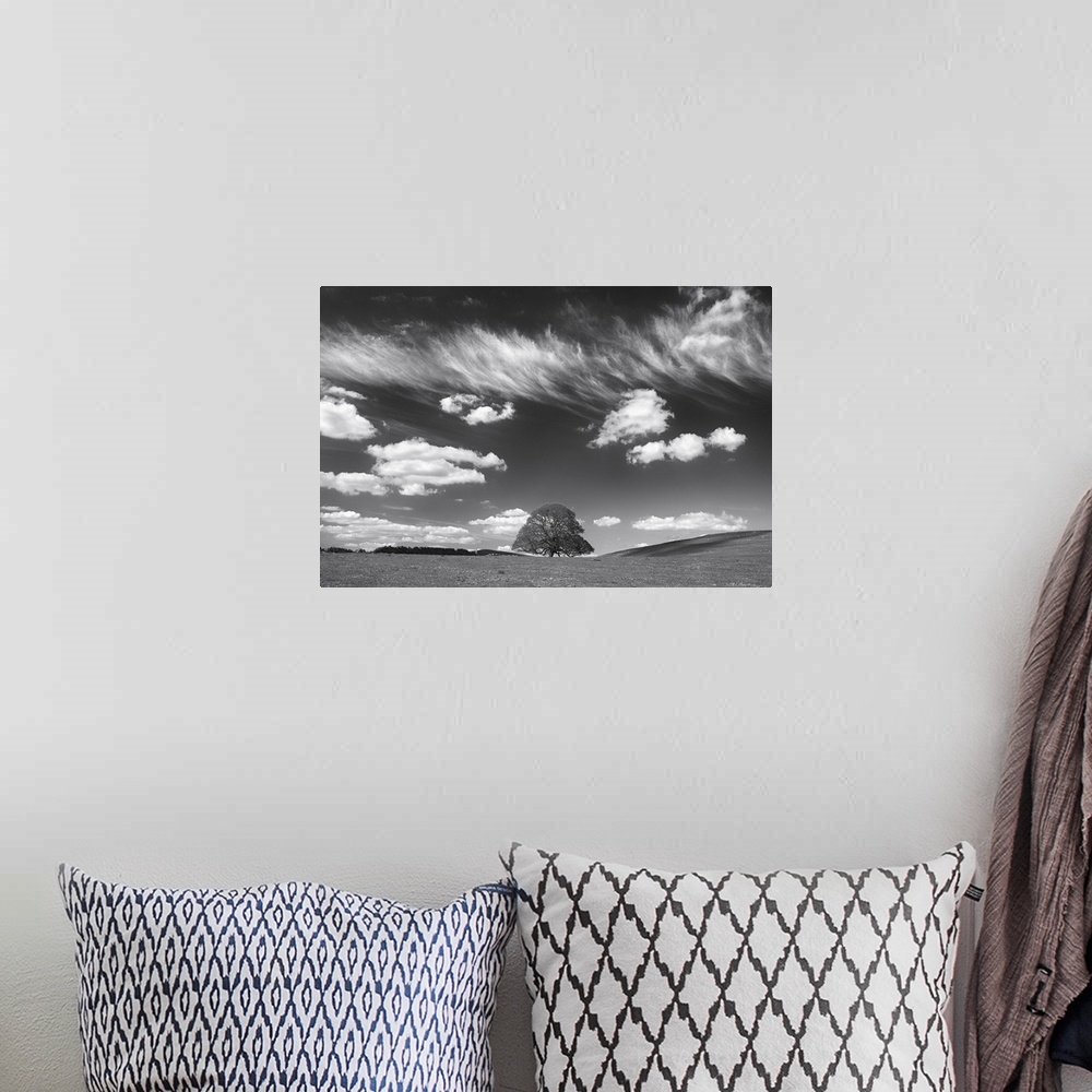 A bohemian room featuring Black and white photograph of a large lone tree in a big field under a wispy cloud sky.