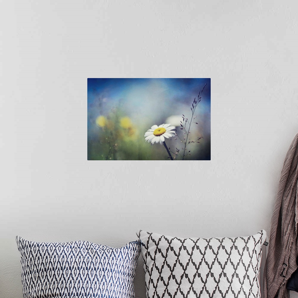 A bohemian room featuring Little white daisy focused in the foreground against a dramatically blurred background.