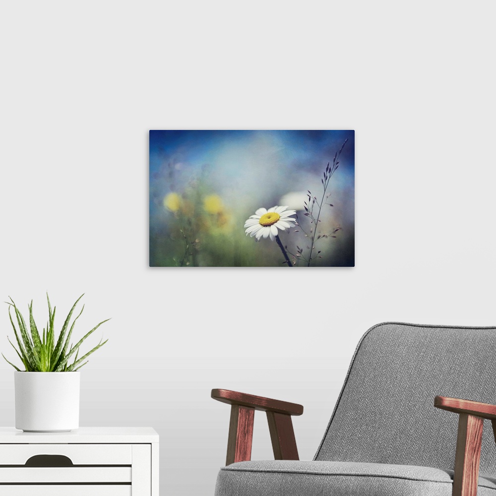 A modern room featuring Little white daisy focused in the foreground against a dramatically blurred background.