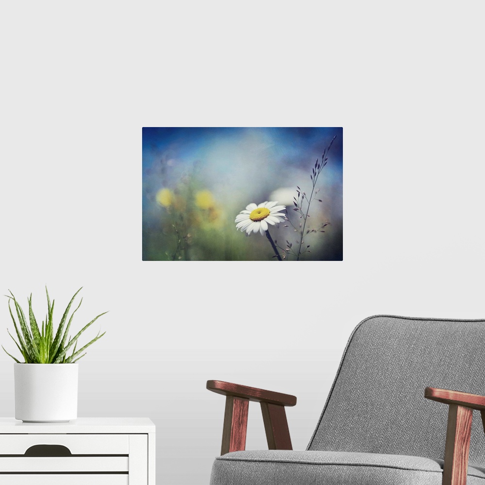 A modern room featuring Little white daisy focused in the foreground against a dramatically blurred background.