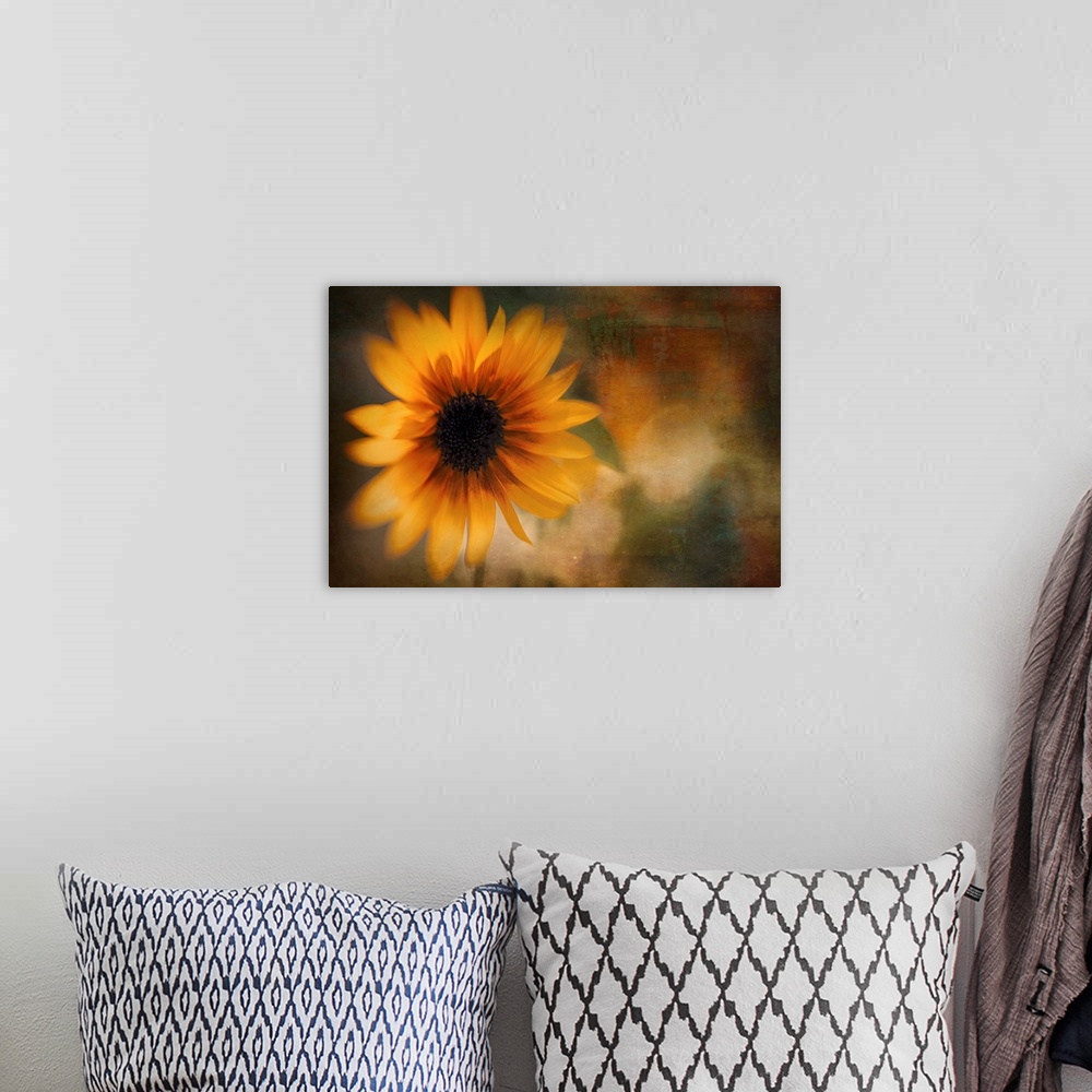 A bohemian room featuring Artistic photograph of a close-up of a sunflower.