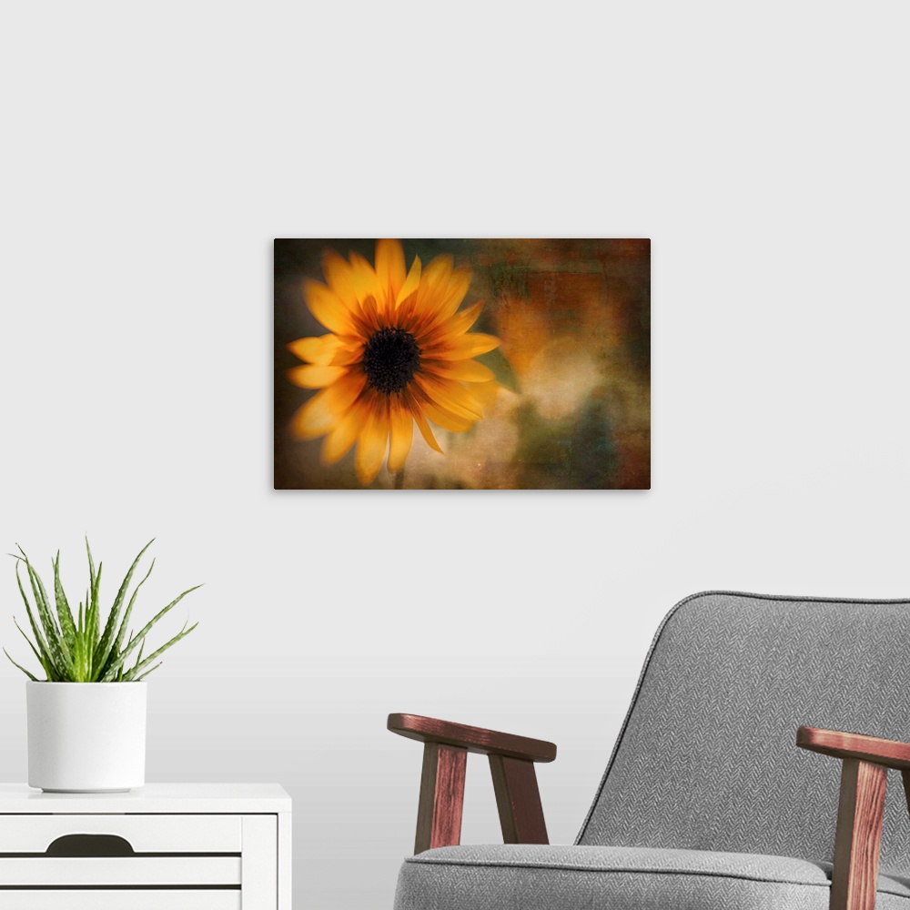 A modern room featuring Artistic photograph of a close-up of a sunflower.