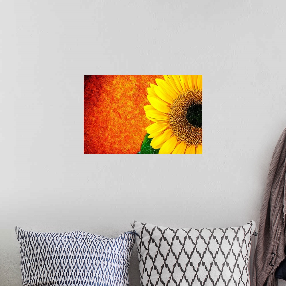 A bohemian room featuring A vibrant, landscape photograph of a golden sunflower on the right, against a fiery orange and re...
