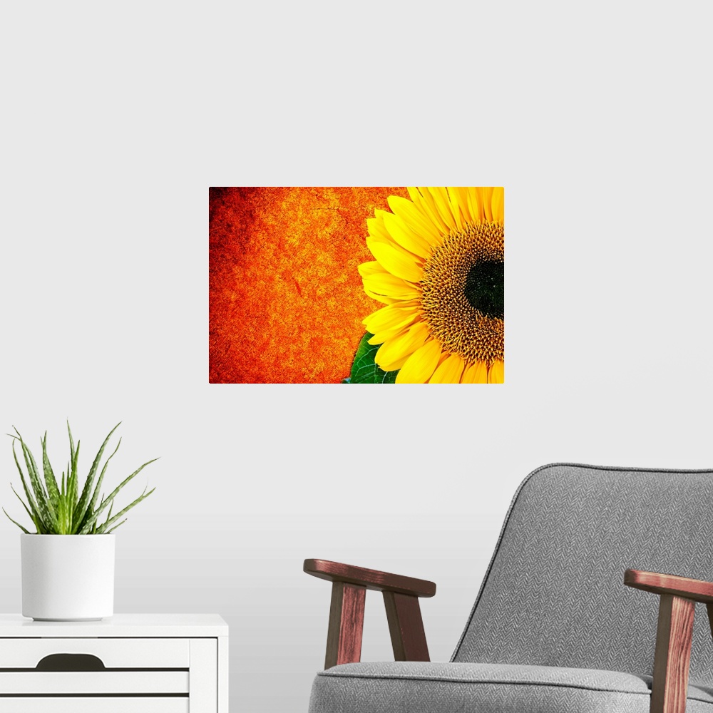 A modern room featuring A vibrant, landscape photograph of a golden sunflower on the right, against a fiery orange and re...