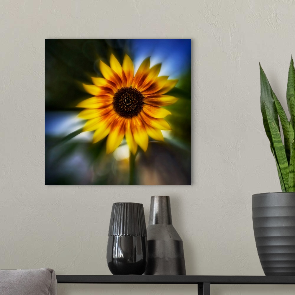A modern room featuring Sunflower By The Road