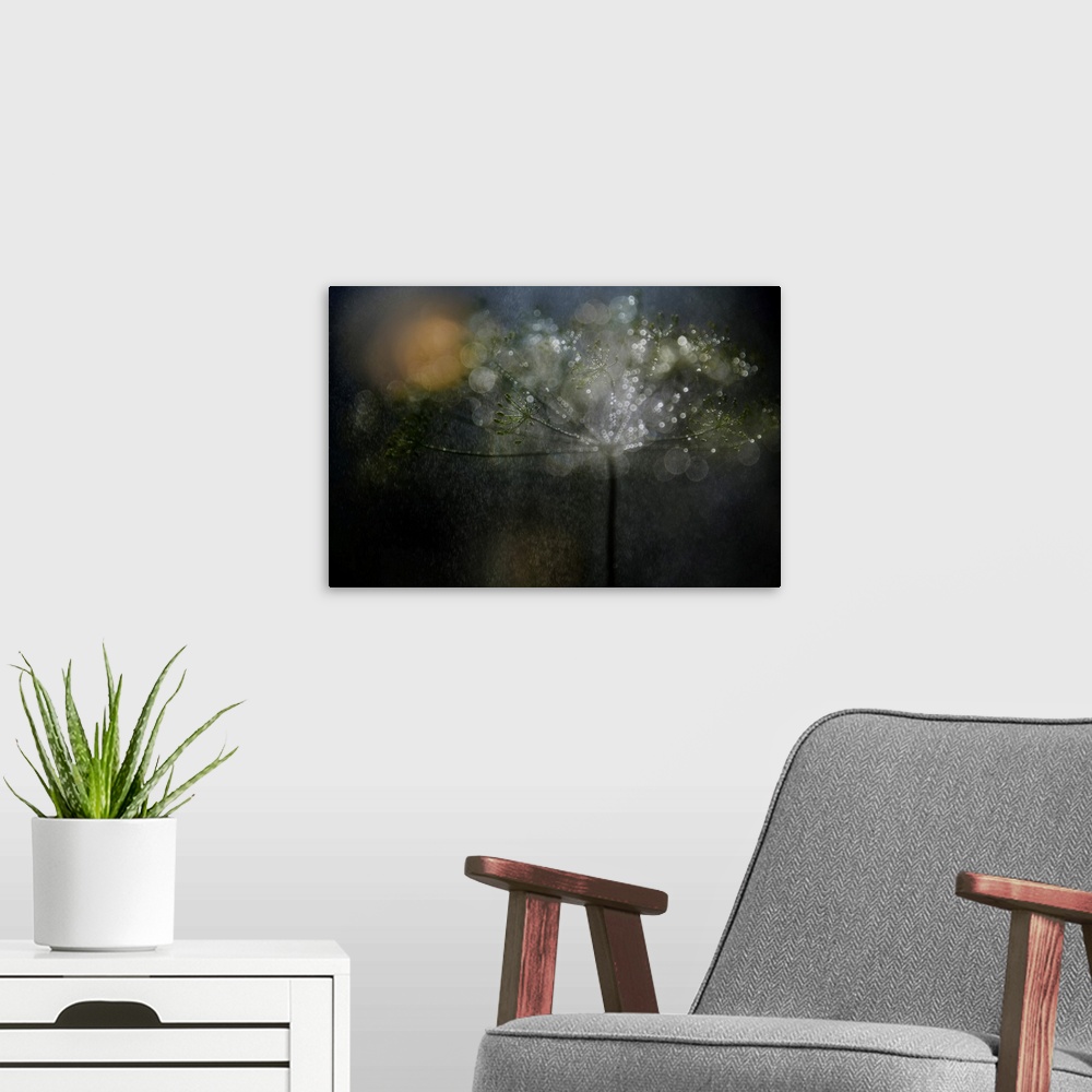 A modern room featuring Two images blended together.