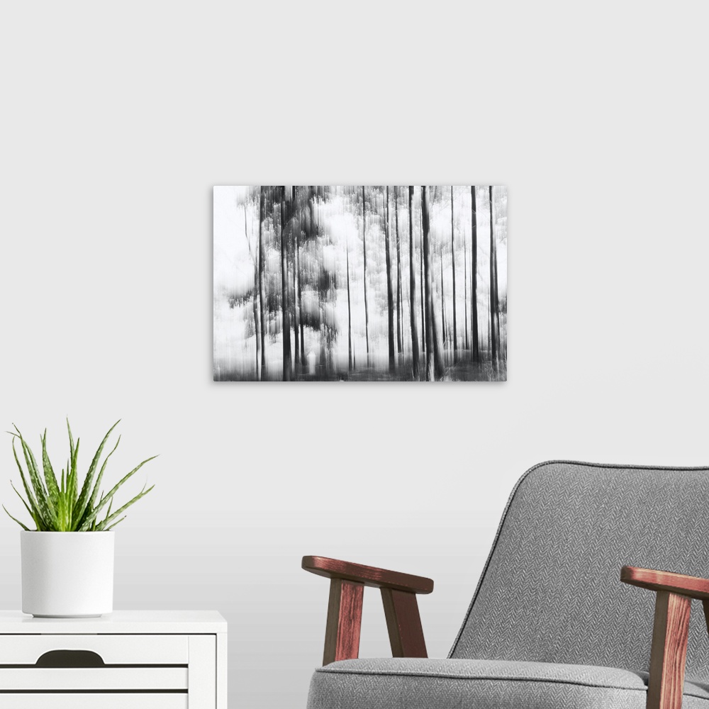 A modern room featuring The winter sun penetrates a dense pine forest.