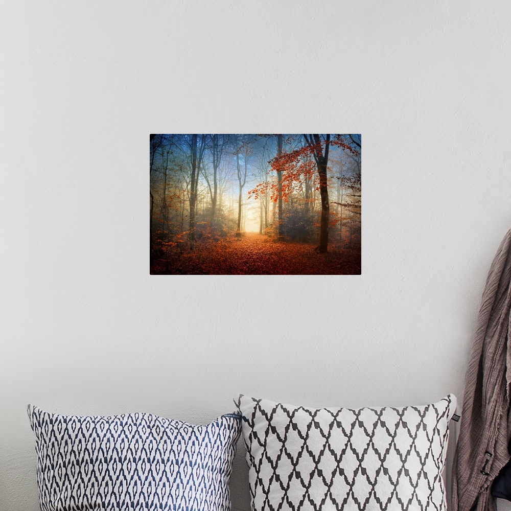 A bohemian room featuring Landscape, fine art photograph of the Broceliande forest with autumn foliage, surrounded by thin ...