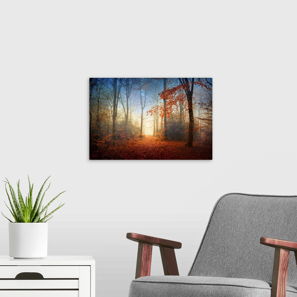 A modern room featuring Landscape, fine art photograph of the Broceliande forest with autumn foliage, surrounded by thin ...