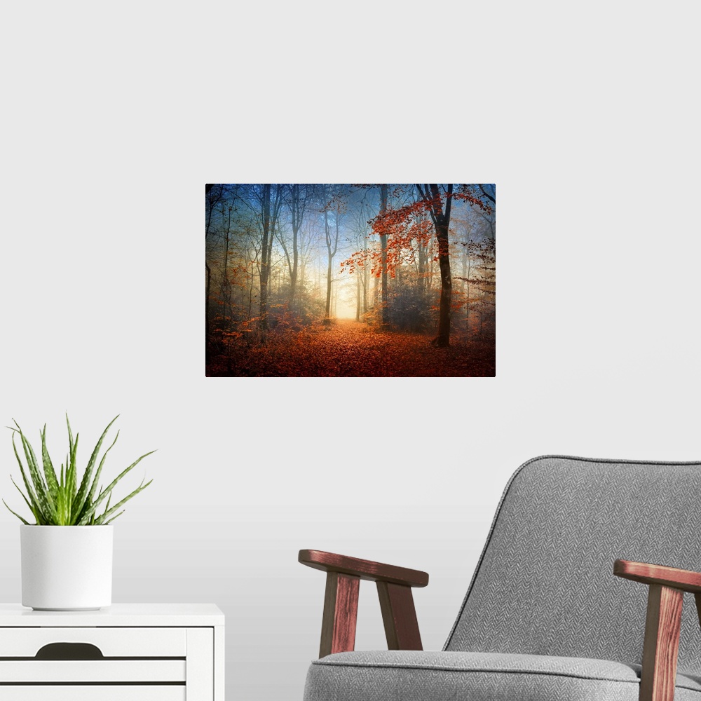 A modern room featuring Landscape, fine art photograph of the Broceliande forest with autumn foliage, surrounded by thin ...