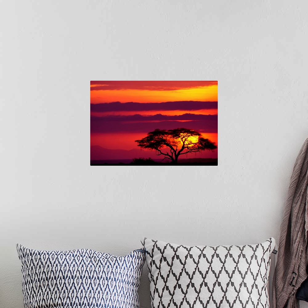 A bohemian room featuring Large photograph shows a lone acacia tree sitting within Amboseli National Park in Kenya while th...