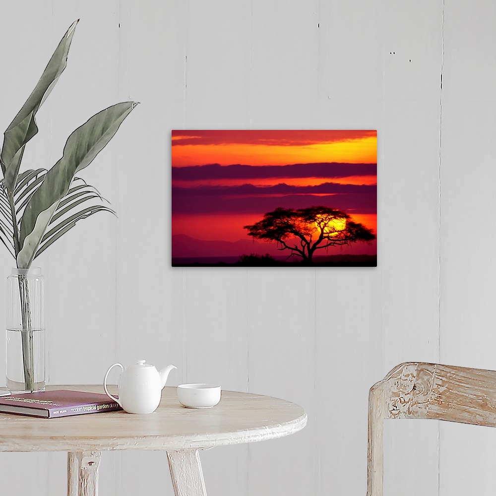 A farmhouse room featuring Large photograph shows a lone acacia tree sitting within Amboseli National Park in Kenya while th...