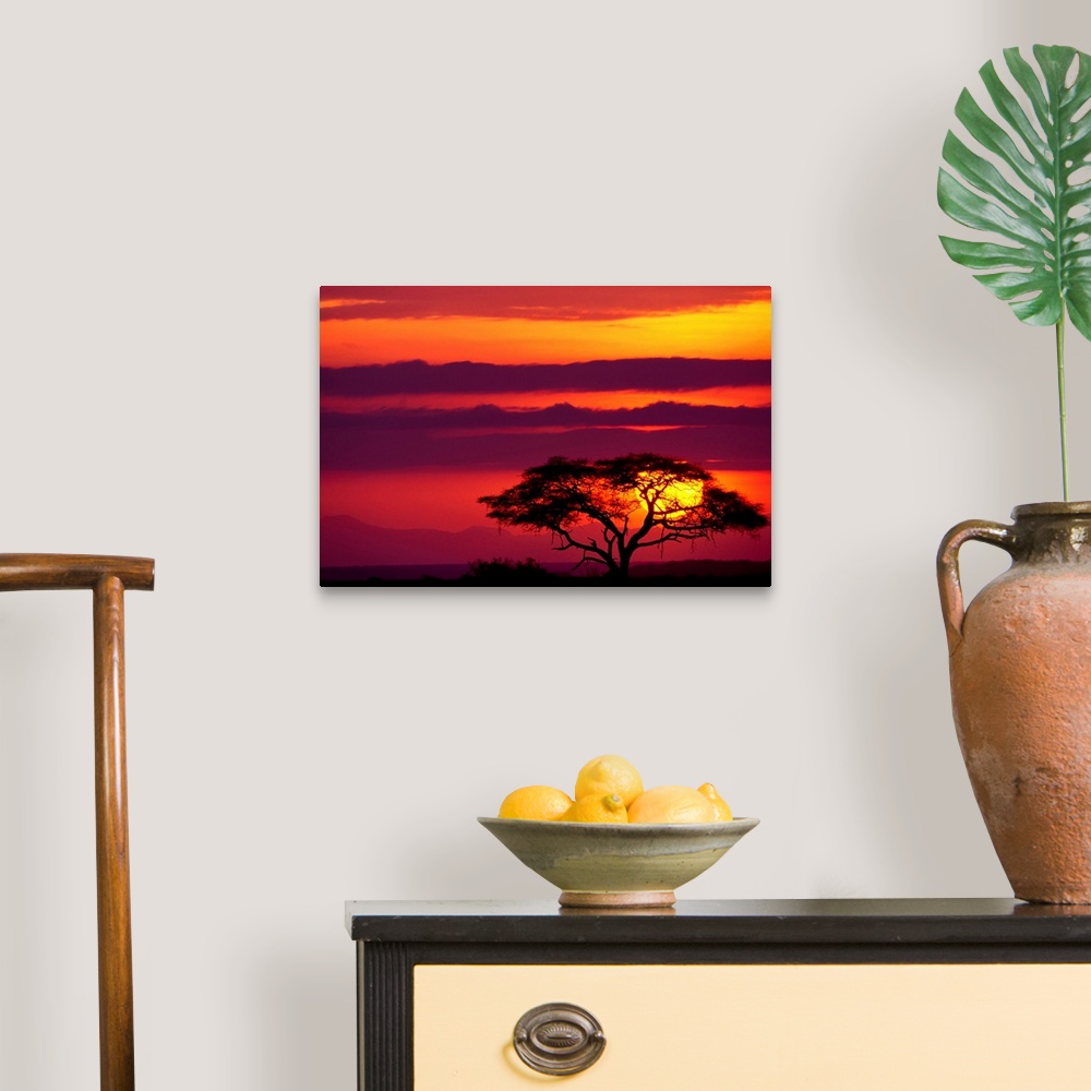 A traditional room featuring Large photograph shows a lone acacia tree sitting within Amboseli National Park in Kenya while th...