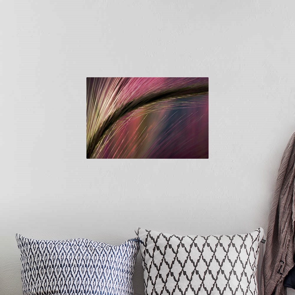 A bohemian room featuring An abstract piece of work showing a close up view of a plant with the sunset's reflection on it.