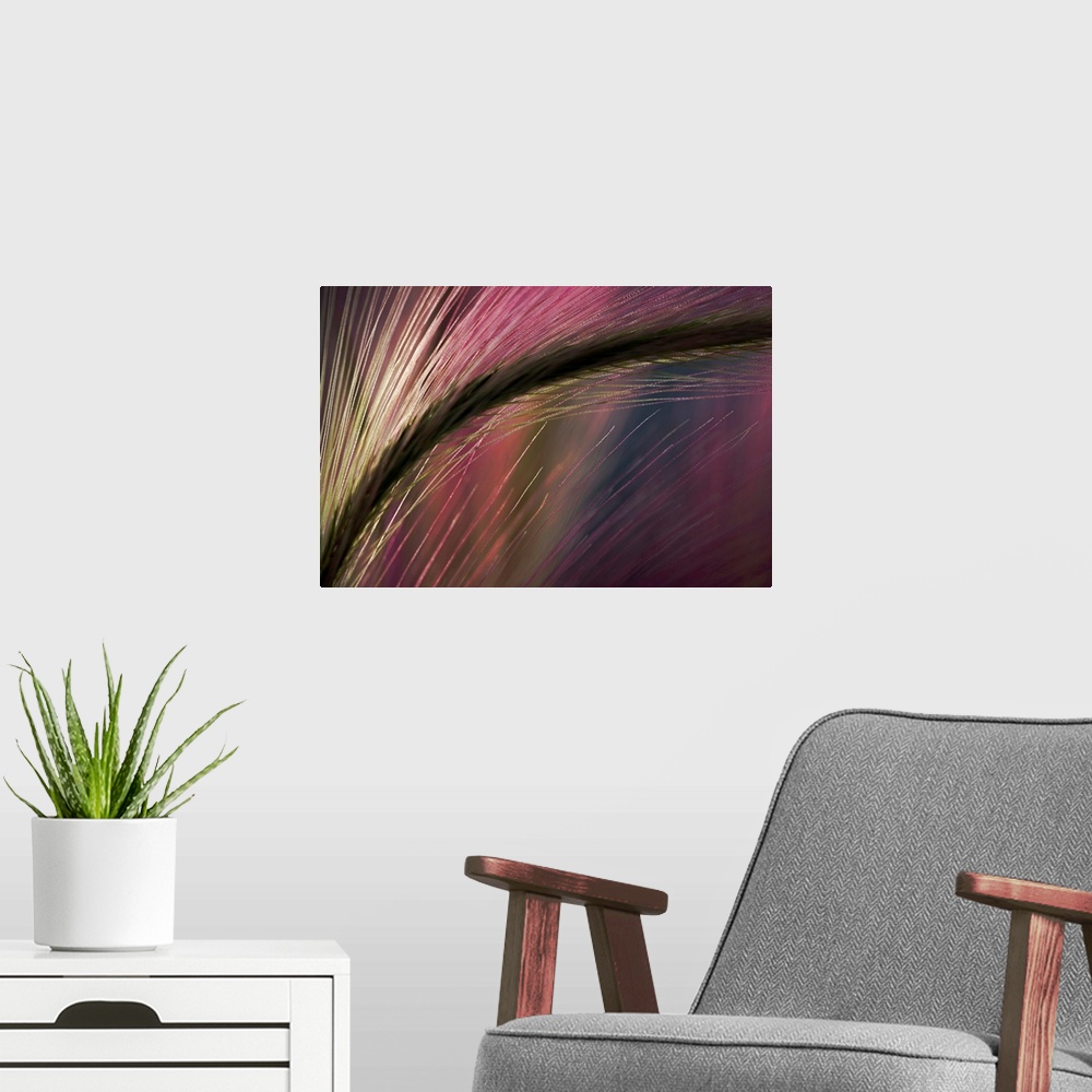 A modern room featuring An abstract piece of work showing a close up view of a plant with the sunset's reflection on it.