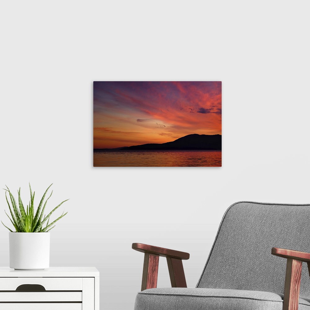 A modern room featuring A flock of birds in the sky during a dramatic sunset, at Larrabee State Park, Washington.
