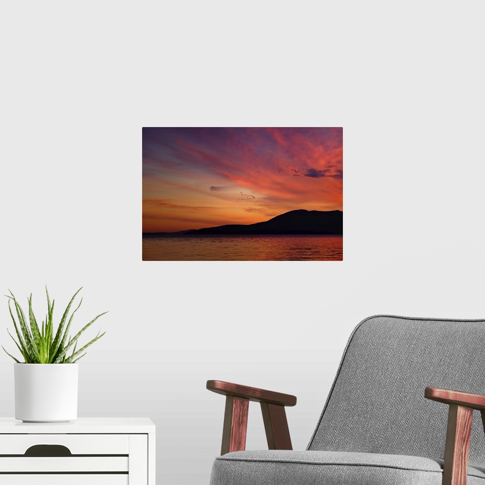 A modern room featuring A flock of birds in the sky during a dramatic sunset, at Larrabee State Park, Washington.