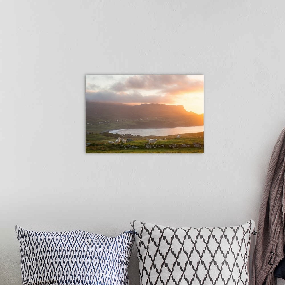 A bohemian room featuring Rural scene on skye island in scotland with cheeps under sunset on the north coast with moutains ...