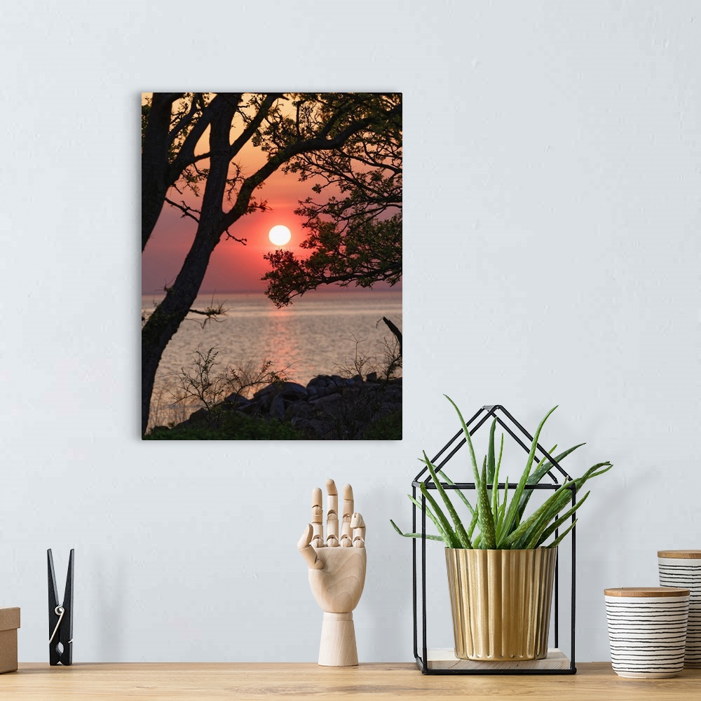 A bohemian room featuring Sunset over lower New York Bay, Sandy Hook, New Jersey, USA.