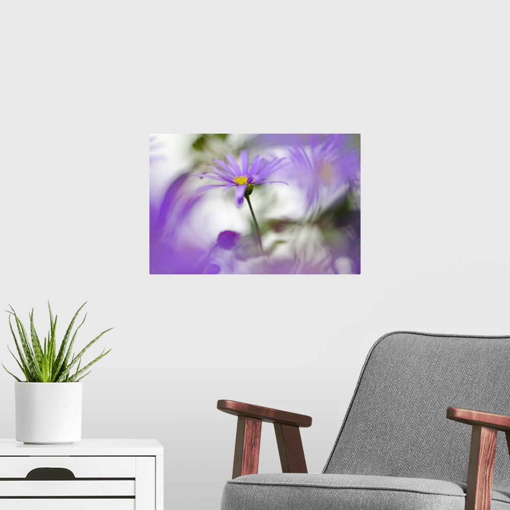 A modern room featuring A purple flower standing out against a blurred motion background.