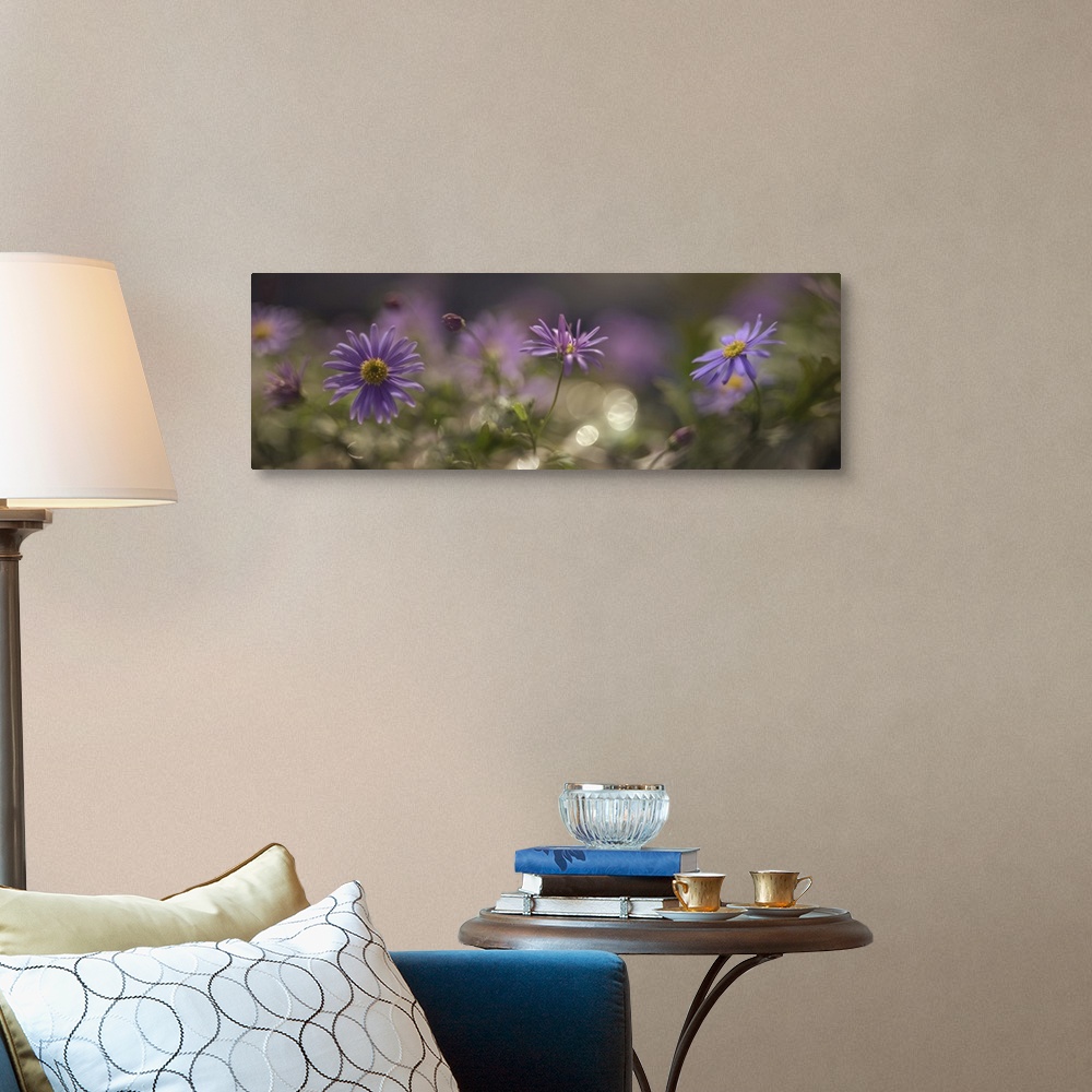 A traditional room featuring Several photos of small purple flowers are blending together.