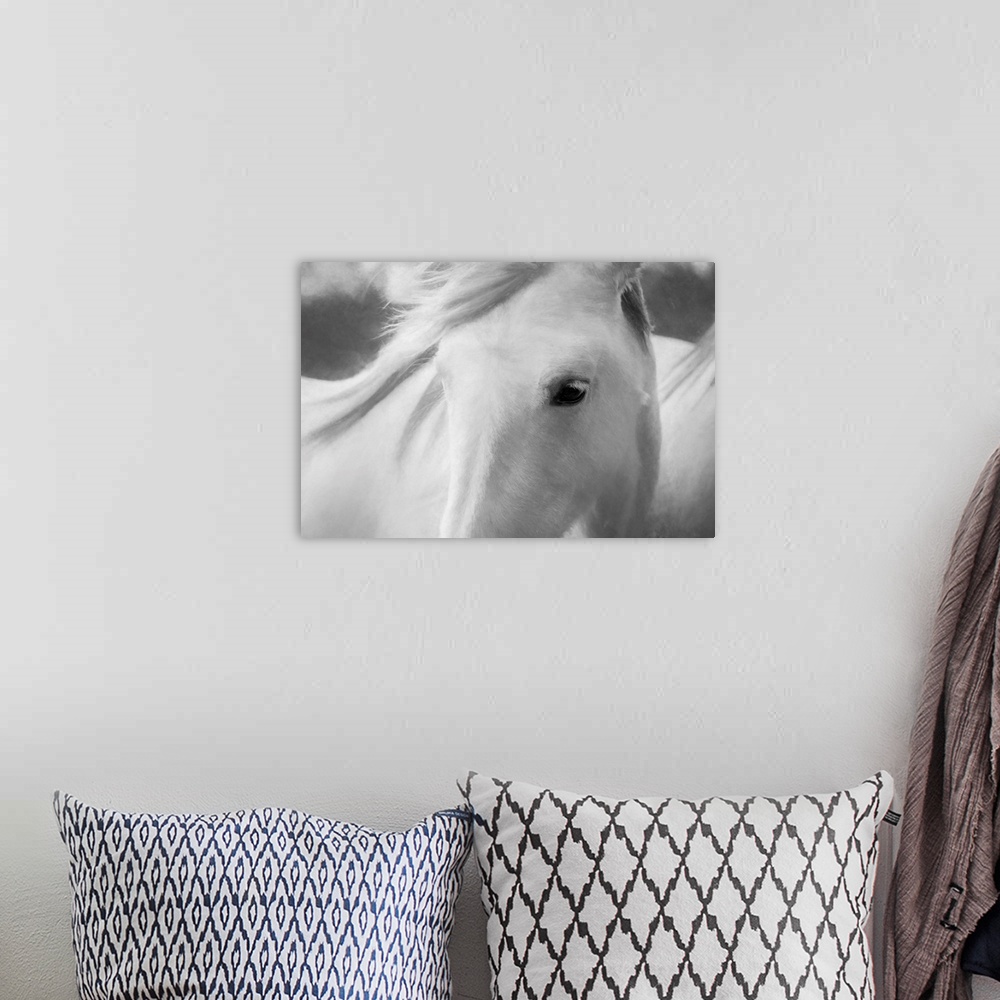A bohemian room featuring Fine art photo of the face of a white horse with its mane blowing in the wind.
