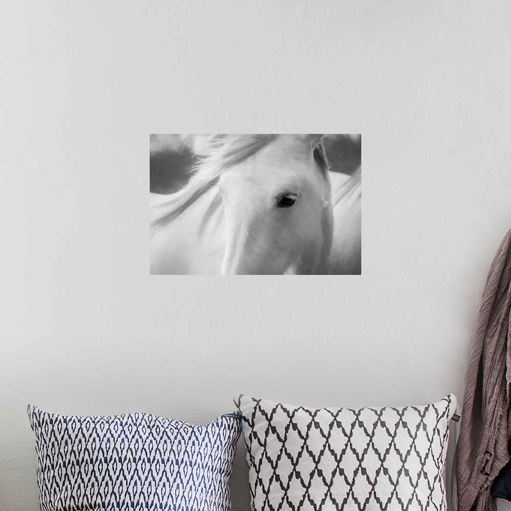 A bohemian room featuring Fine art photo of the face of a white horse with its mane blowing in the wind.