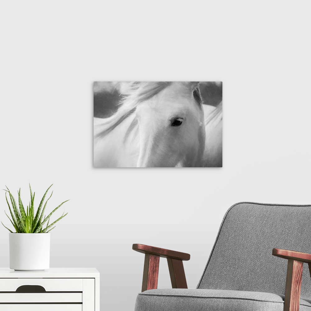A modern room featuring Fine art photo of the face of a white horse with its mane blowing in the wind.