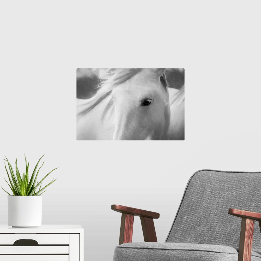 A modern room featuring Fine art photo of the face of a white horse with its mane blowing in the wind.
