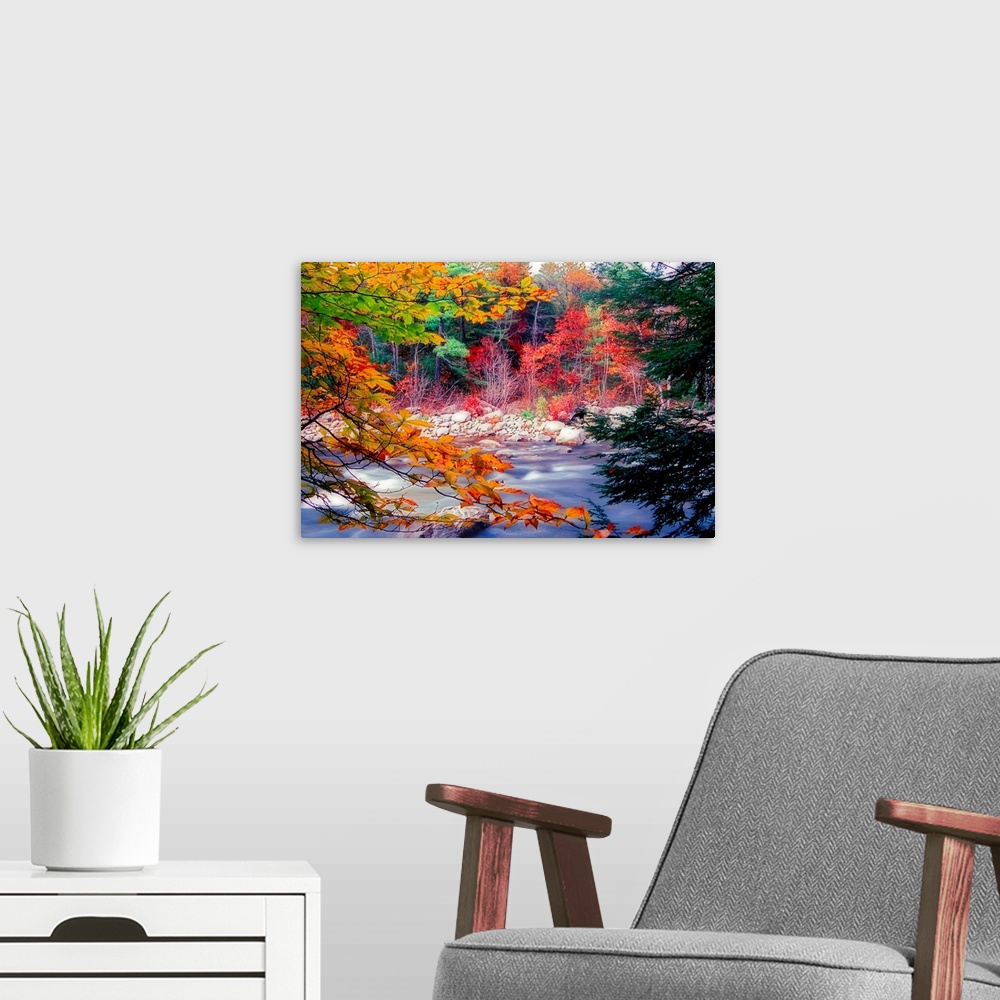 A modern room featuring Huge photograph taken from the rocky shore of a stream running through a woodland covered in the ...
