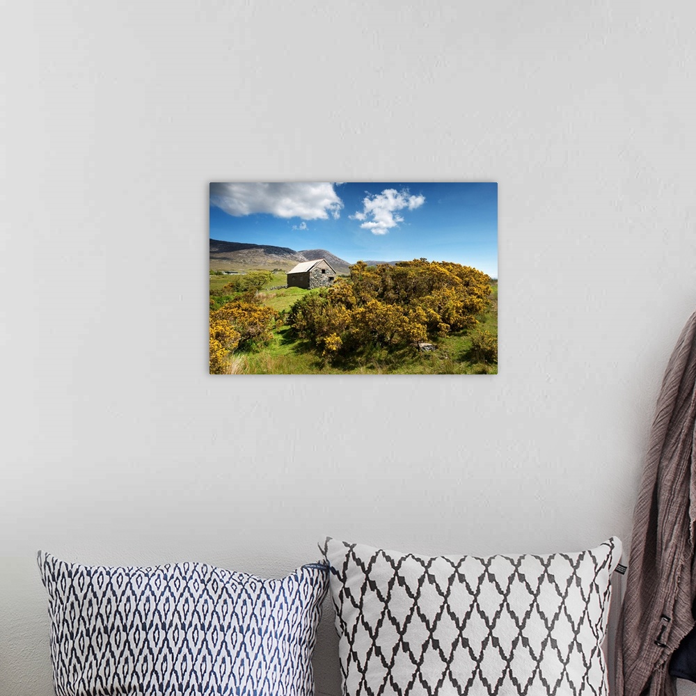 A bohemian room featuring Photograph of an idyllic countryside scene.