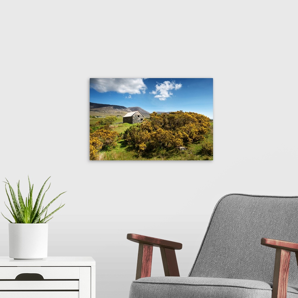 A modern room featuring Photograph of an idyllic countryside scene.
