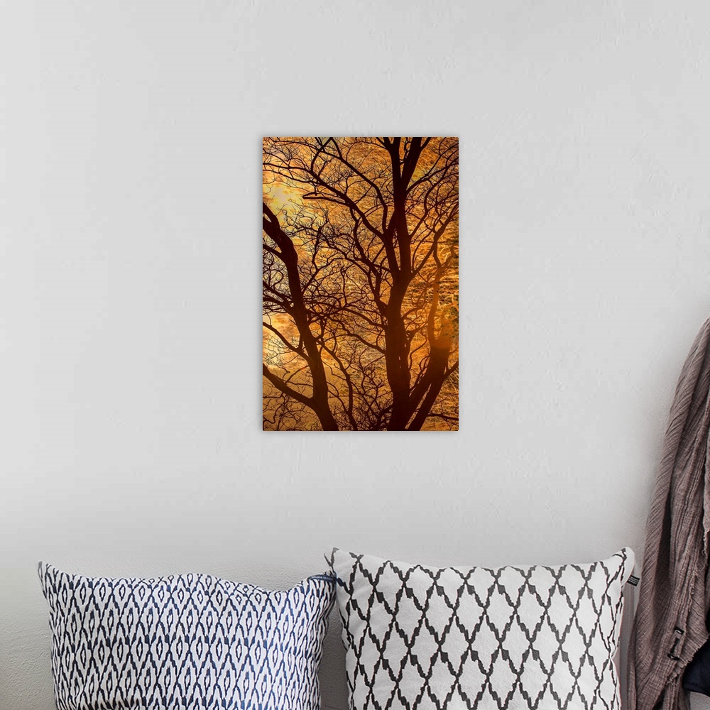A bohemian room featuring A photograph of a silhouetted bare branched tree against an autumn glow background.