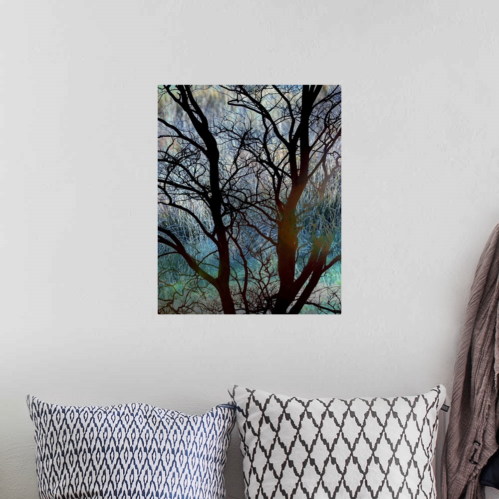 A bohemian room featuring A photograph of a silhouetted bare branched tree against a vibrant turquoise background.
