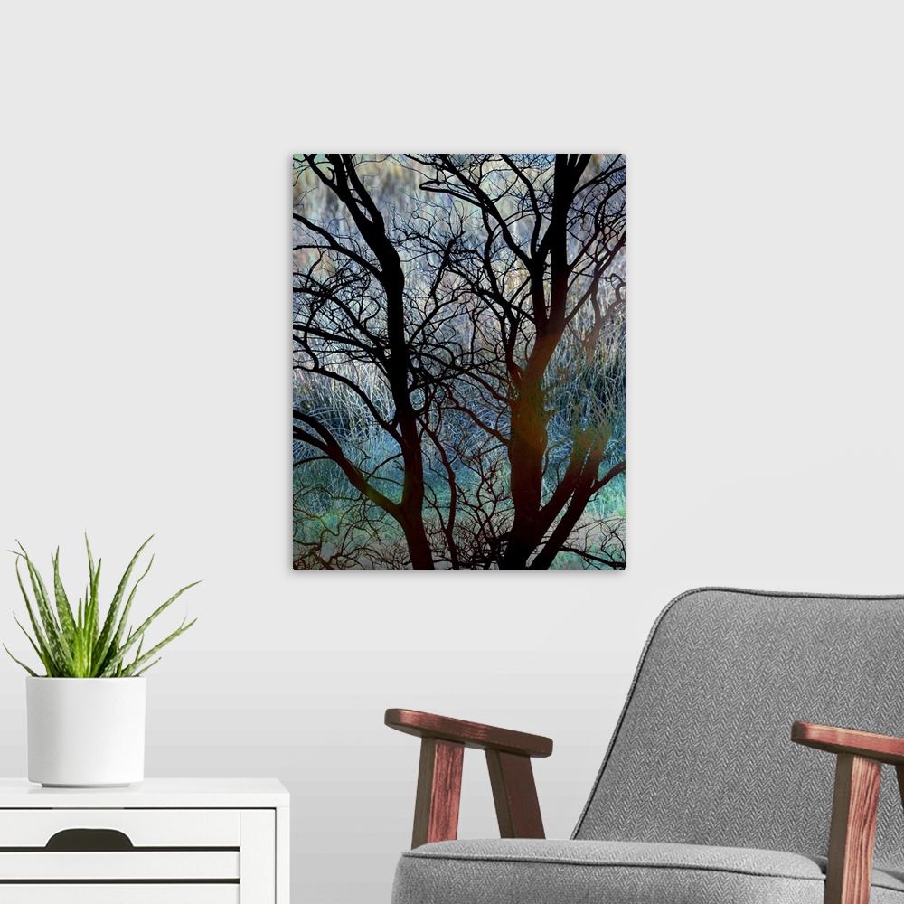 A modern room featuring A photograph of a silhouetted bare branched tree against a vibrant turquoise background.