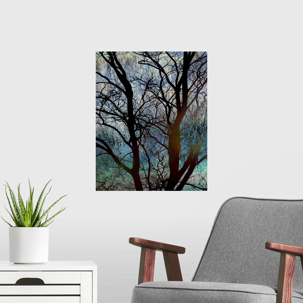 A modern room featuring A photograph of a silhouetted bare branched tree against a vibrant turquoise background.