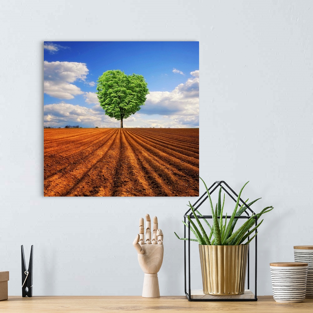 A bohemian room featuring A tree with a heart shaped top is photographed from a distance standing alone in a large dirt field.
