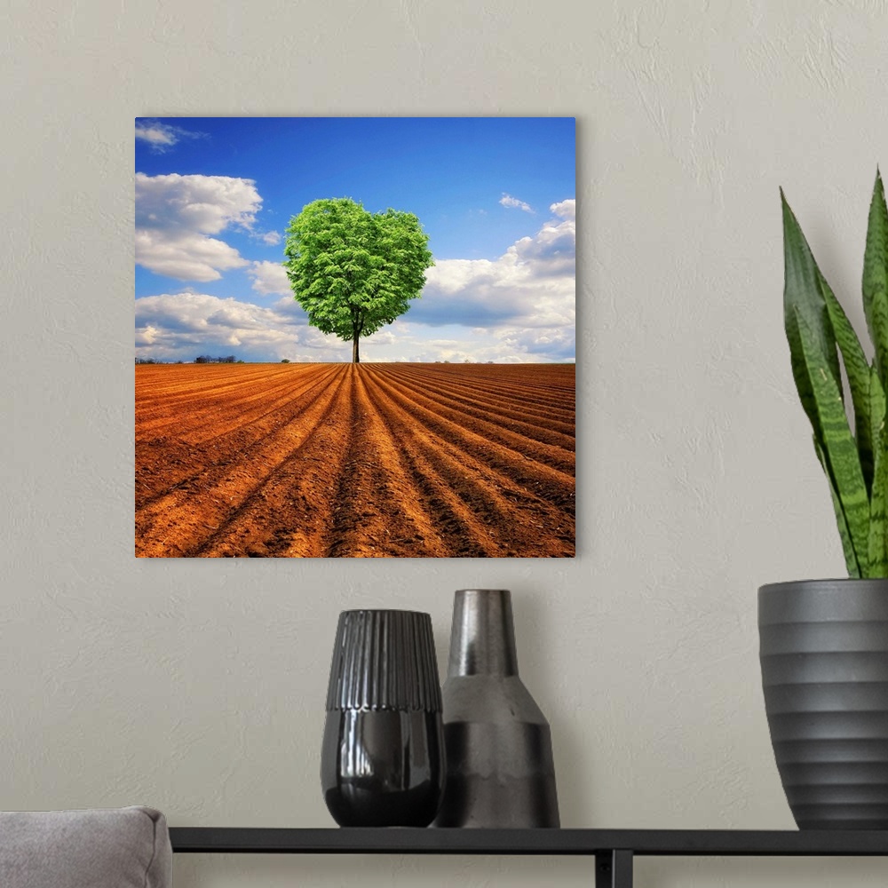 A modern room featuring A tree with a heart shaped top is photographed from a distance standing alone in a large dirt field.