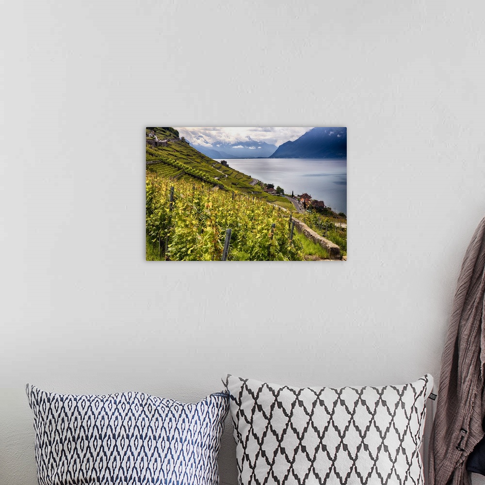 A bohemian room featuring The Lavaux vineyards on the green hills surrounding Lac Leman in the Vaud canton of Switzerland.
