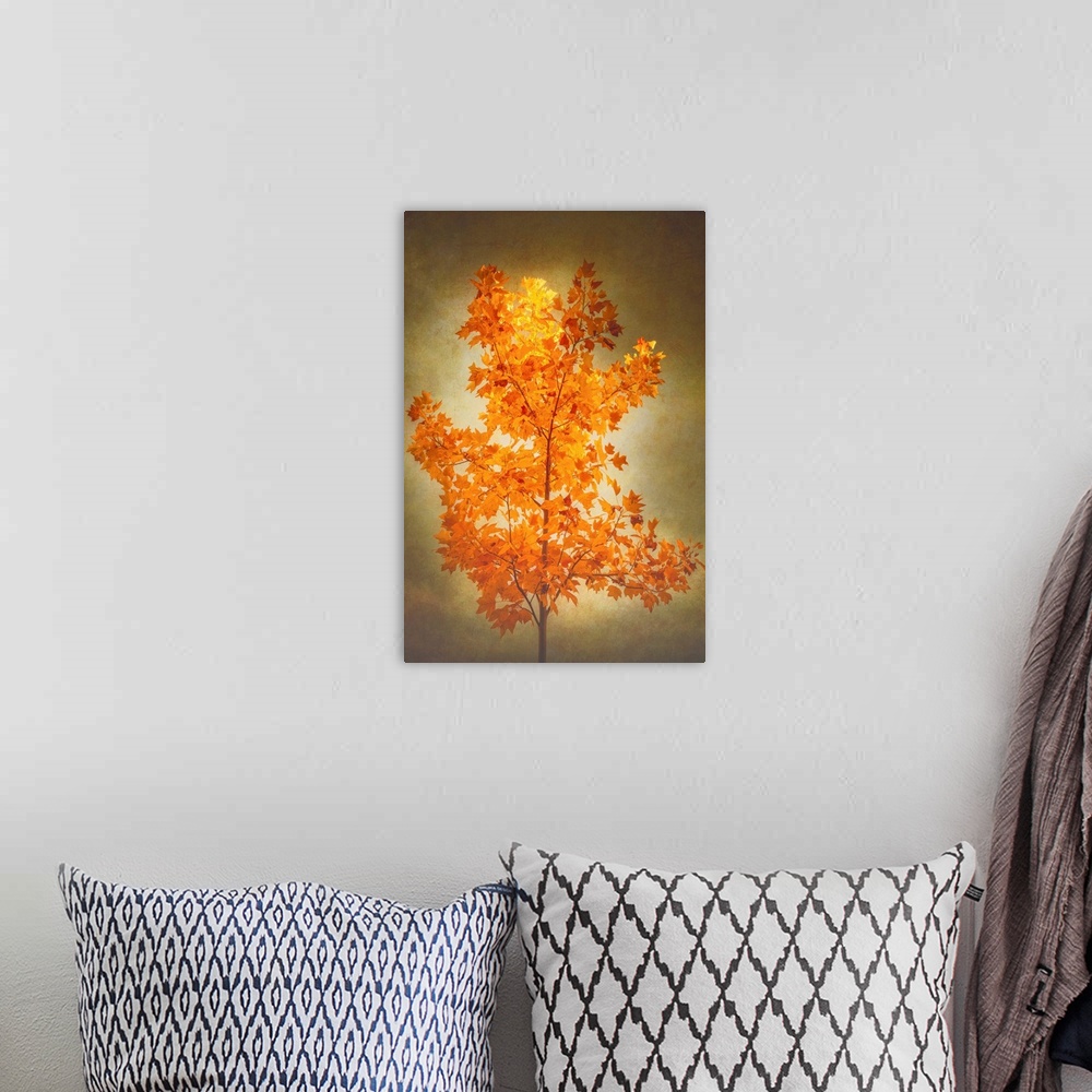 A bohemian room featuring A yellow tree in autumn with a photo texture